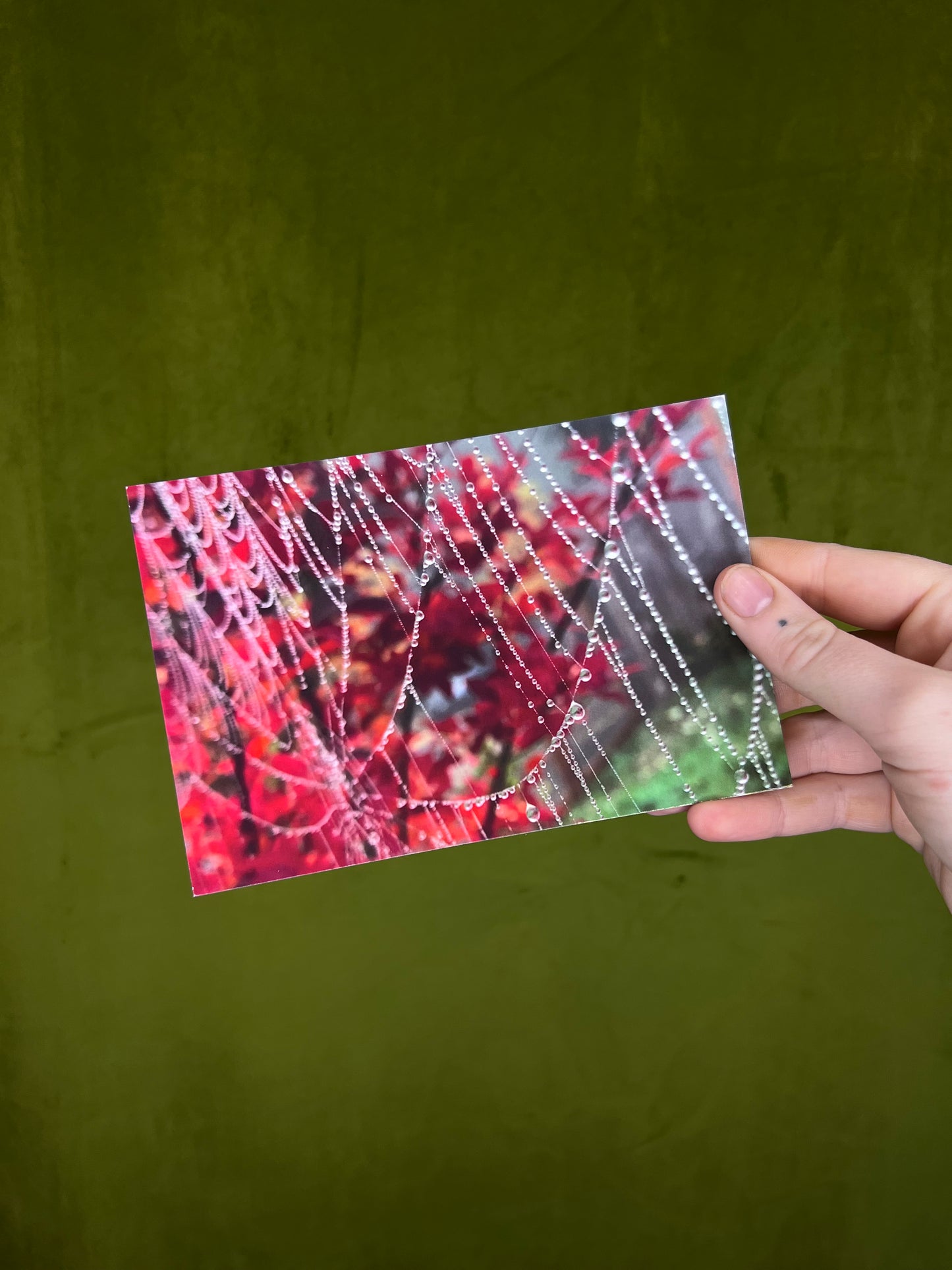 Postcards